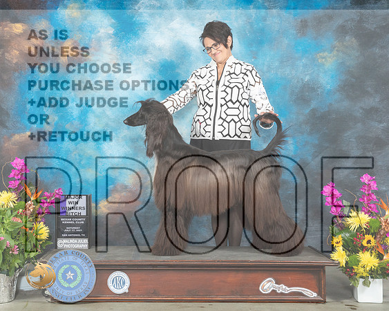 Afghan #10 Sat Judge Lori Nelson_MMJ_2532_SanAnonio2021_HR3