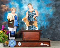 Beagle 15 #6 Sun G1 Judge Judy Brown