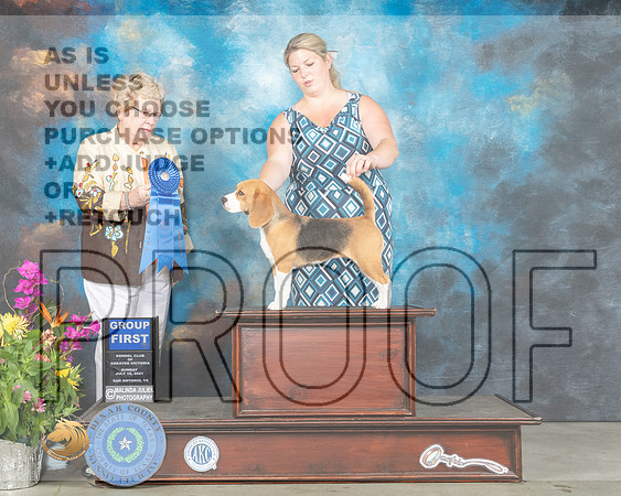 Beagle 15 #6 Sun G1 Judge Judy Brown_MMJ_2652_SanAnonio2021_HR3