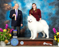 Samoyed #9 Sun BOB Judge Ken Buxton