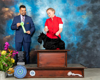 Scottish Therrier #23 Sun OHG2 Judge Joao Machado