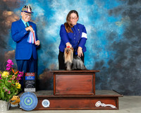 Yorkshire Terrier #6 Sun BOW Judge Johnny Shoemaker