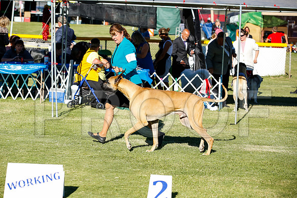 _JN_9838-AlamogordoOct2014-HR3