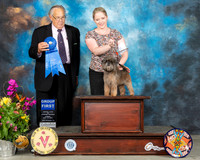 Affenpinscher #5 Sun G1 Judge John Wade
