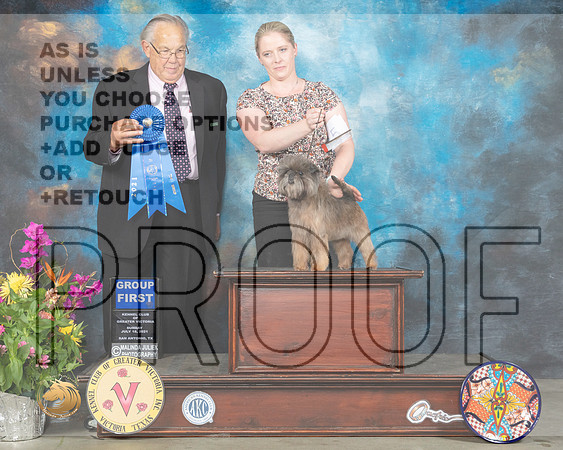 Affenpinscher #5 Sun G1 Judge John Wade_MMJ_2703_SanAnonio2021_HR3