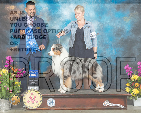 Australian Shepherd #17 Sun G1 Judge Joao Machado_MMJ_2745_SanAnonio2021_HR3