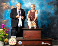 Chihuahua Longcoat #14 Sun G4 Judge John Wade