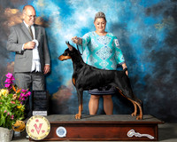 Doberman Pinscher #24 Sun G4 Judge John Constantine Amodei
