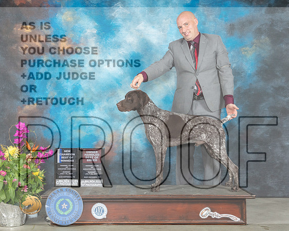 German Shorthaired Pointer #5 Sun BOW Judge Ken Buxton R_MMJ_2686_SanAnonio2021_HR3