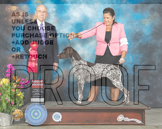 German Shorthaired Pointer #6 Sun G2 Judge John Constantine Amodei_MMJ_2676_SanAnonio2021_HR3