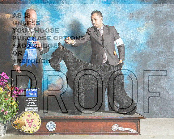Giant Schnauzer #5 Sun G1 Judge John Constantine Amodei_MMJ_2733_SanAnonio2021_HR3