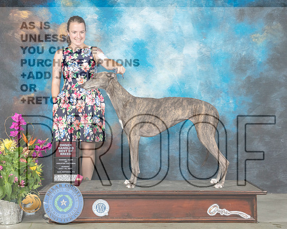 Greyhound #8 Sun OHG3 Judge John Constantine Amodei_MMJ_2661_SanAnonio2021_HR3