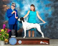 Pointer #7 Sun OHG1 Judge Johnny Shoemaker