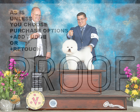 Bichon Frise #5 Sun G4 Judge John Constantine Amodei_MMJ_2754_SanAnonio2021_HR3