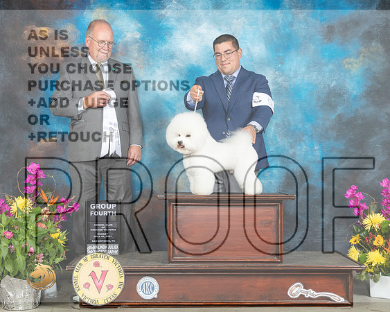 Bichon Frise #5 Sun G4 Judge John Constantine Amodei_MMJ_2758_SanAnonio2021_HR3