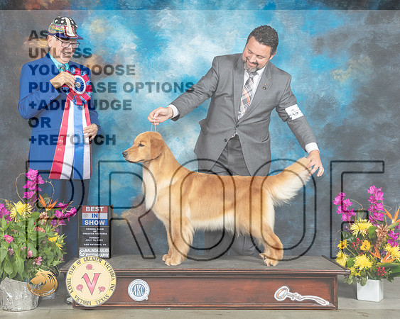 Golden Retriever #38 Sun BIS Judge Johnny Shoemaker_MMJ_2787_SanAnonio2021_HR3