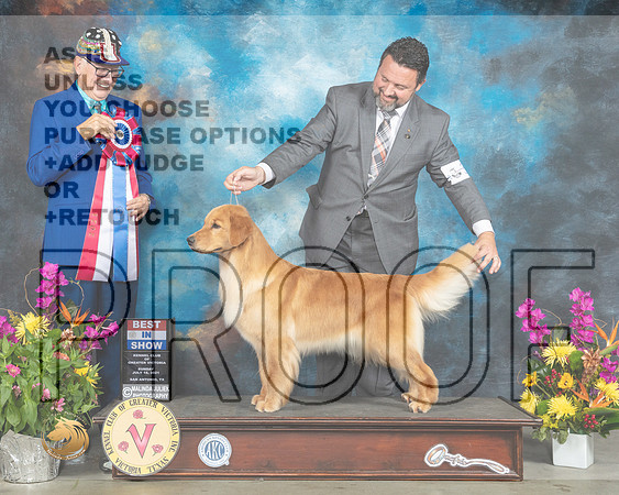 Golden Retriever #38 Sun BIS Judge Johnny Shoemaker_MMJ_2791_SanAnonio2021_HR3