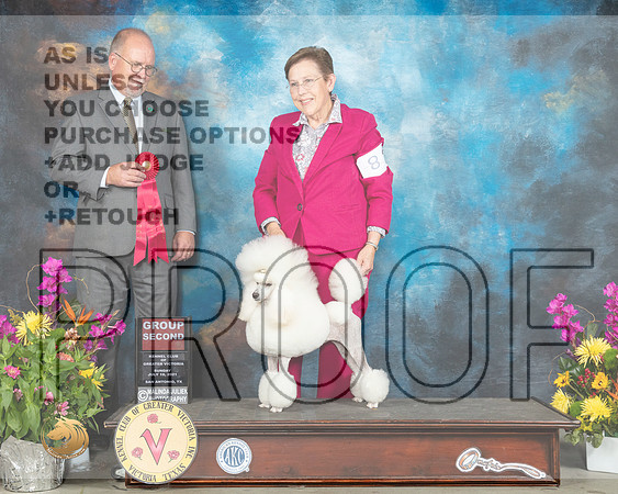 Poodle Miniature #8 Sun G2 Judge Jon Constantine Amodei_MMJ_2762_SanAnonio2021_HR3