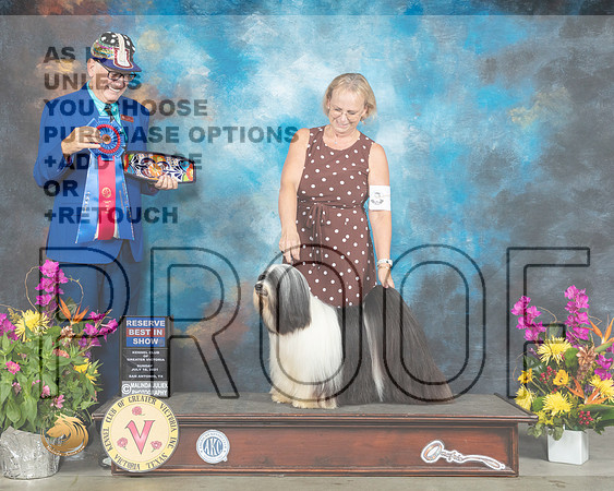 Tibetan Terrier #5 Sun RBIS Judge Johnny Shoemaker_MMJ_2776_SanAnonio2021_HR3