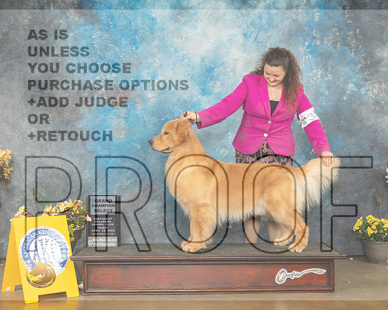 Golden Retriever #37 Fri SD Judge Eugene Blake-MMJ_9579-NWARK2022-HR3