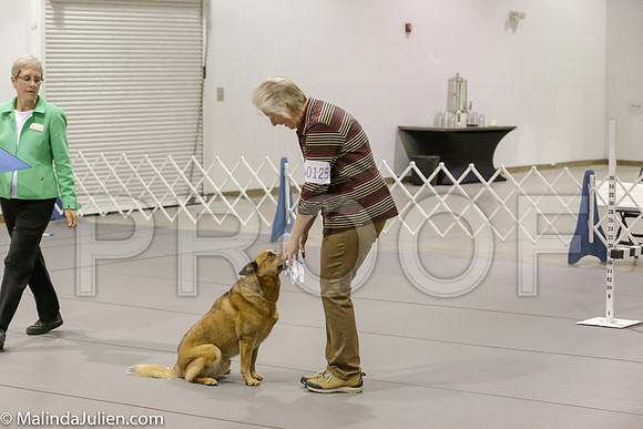 Msqt_2018MJJL7405-HR3