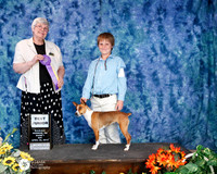 Rat Terrier Sat S1 Best Jr Rea Morgan +A1