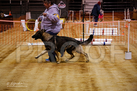 GSD-7268-MrshllDec13-HR