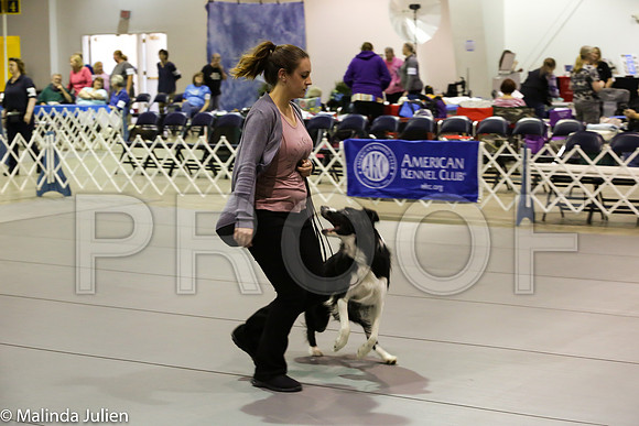 Msqt_2018MJJL1783-HR3