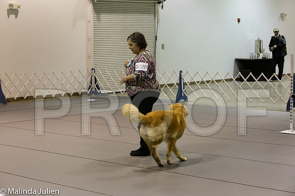 Msqt_2018MJJL4620-HR3