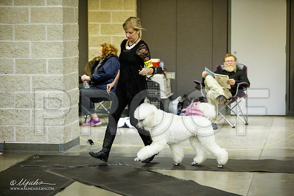 _JJ_5672-BeltonJan2015IABCA-HR3