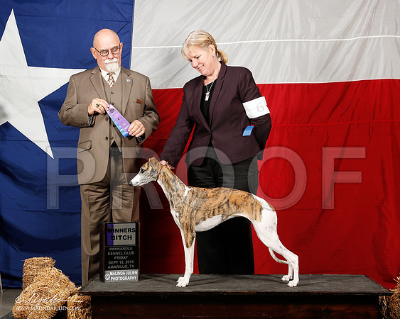_ST_1518-2-AmarilloSep2014-HR3