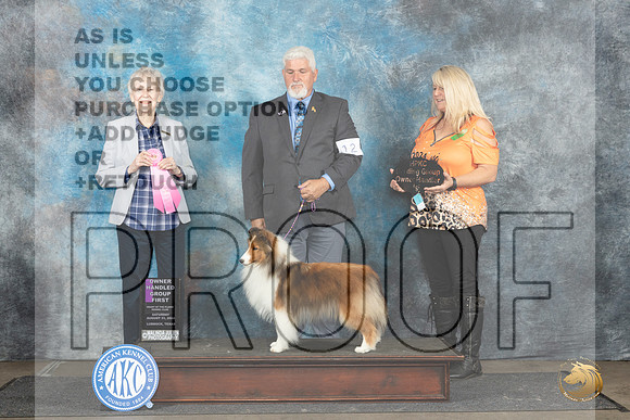Shetland Sheepdog #12 Sat OHG1 Judge Sharon Newcomb__JP_3712_Lubbock_2024_HR3