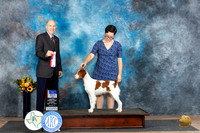 Brittay #20 Sun WBBOWBOSM Judge Larry Abbott