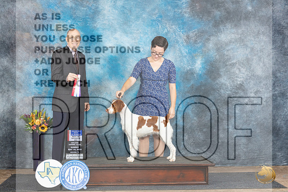 Brittay #20 Sun WBBOWBOSM Judge Larry Abbott__JP_0002_Abilene_2024_HR3