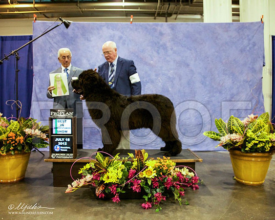 WPISweeps-3982 PROOF