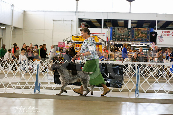 _JN_3140-DallasJul2014-HR3