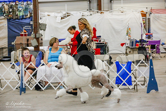 _JJ_5120-AlamogordoOct2014-HR3