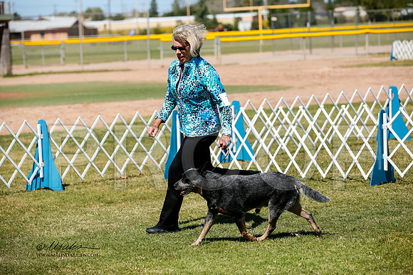 _JJ_3674-AlamogordoOct2014-HR3