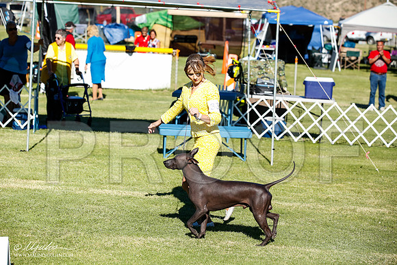 _JN_9645-AlamogordoOct2014-HR3