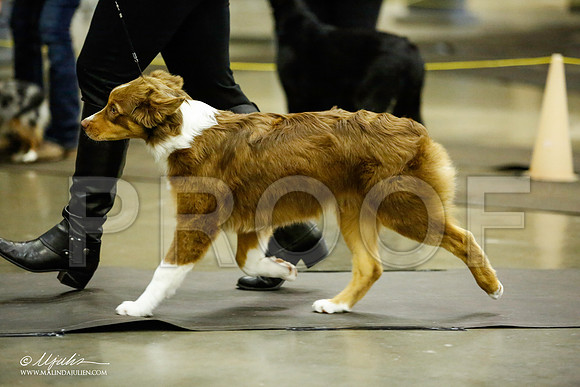 _JJ_6955-BeltonJan2015IABCA-HR3