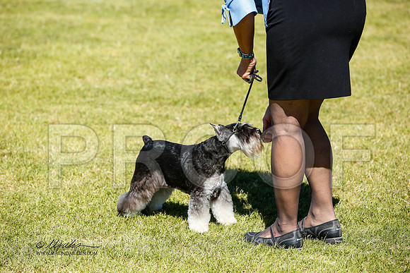 _JN_1103-AlamogordoOct2014-HR3