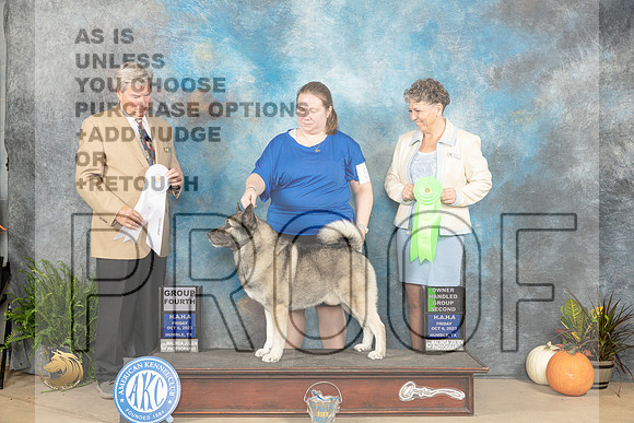 Norwegian Elkhound #5 Fri OHG2 G4 Judges Steele Wolf_JP_6036_Humble2023_HR3