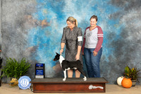 Basenji #5 Fri BOW Judge Jon Titus-Steele