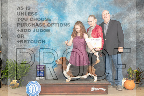 Basset Hound #J600 Fri RBJr Judge Ann Wolf_JP_6018_Humble2023_HR3