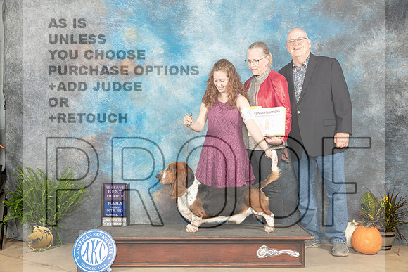 Basset Hound #J600 Fri RBJr Judge Ann Wolf_JP_6022_Humble2023_HR3