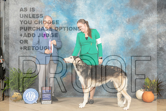 Borzoi #11 Fri BOSBOW  Judge Rick Martin_JP_6002_Humble2023_HR3