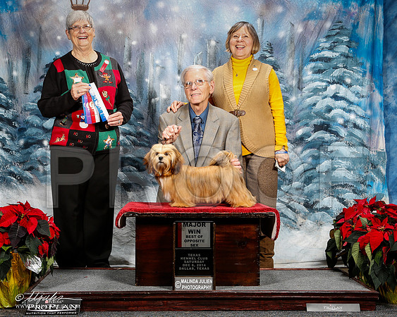 _ST_8696-2-DallasDec2014-HR3