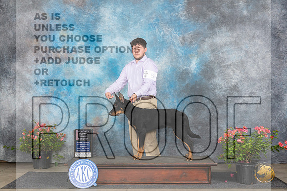 Beauceron #5 Sun BPupG2 Judge Christie Martinez__JP_5787_San Antonio_2024_HR3