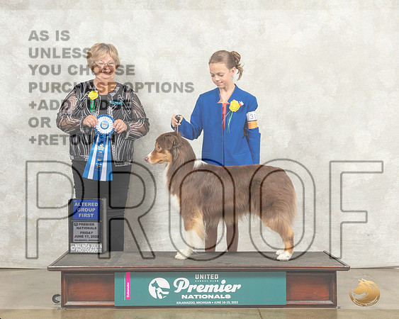 Australian Shepherd #313 Fri AG1 Judge Mary Ellen Meyer__MJ_8017_Premier_2022_HR3
