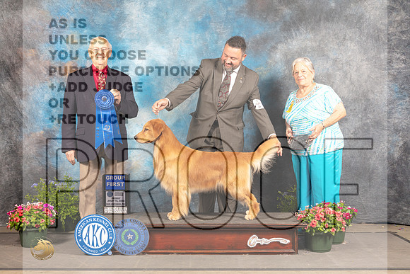 Golden Retriever #46 Fri G1 Judge Robert Shreve-_MJ_0091e-HR3